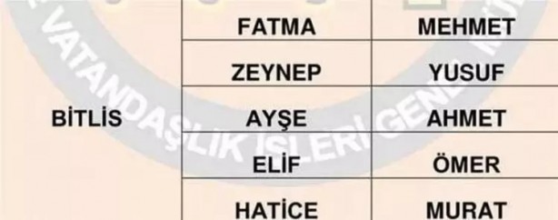 Foto - Türkiye'de en çok hangi isimler kullanılıyor? İl il en popüler kadın erkek isimleri