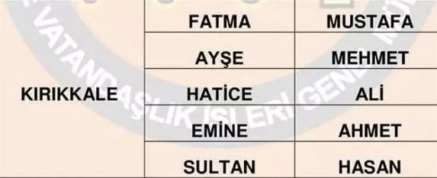 Foto - Türkiye'de en çok hangi isimler kullanılıyor? İl il en popüler kadın erkek isimleri