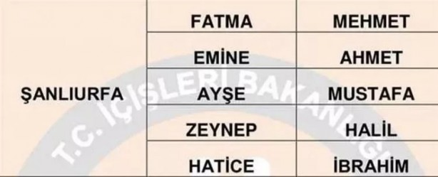 Foto - Türkiye'de en çok hangi isimler kullanılıyor? İl il en popüler kadın erkek isimleri