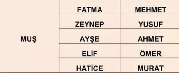 Foto - Türkiye'de en çok hangi isimler kullanılıyor? İl il en popüler kadın erkek isimleri