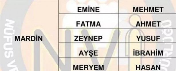 Foto - Türkiye'de en çok hangi isimler kullanılıyor? İl il en popüler kadın erkek isimleri