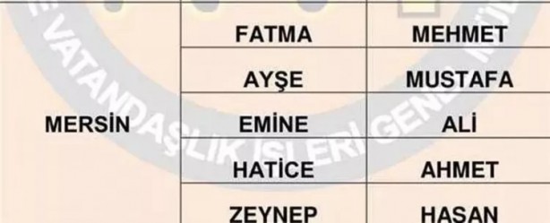 Foto - Türkiye'de en çok hangi isimler kullanılıyor? İl il en popüler kadın erkek isimleri