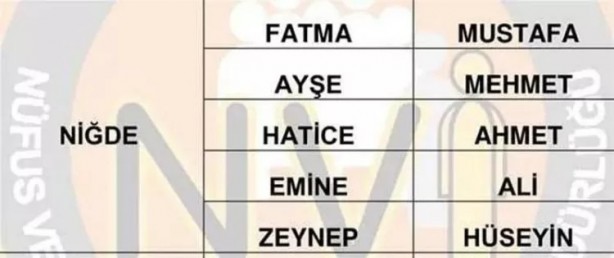 Foto - Türkiye'de en çok hangi isimler kullanılıyor? İl il en popüler kadın erkek isimleri