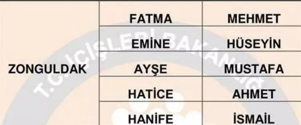 Foto - Türkiye'de en çok hangi isimler kullanılıyor? İl il en popüler kadın erkek isimleri