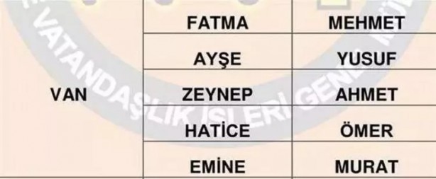 Foto - Türkiye'de en çok hangi isimler kullanılıyor? İl il en popüler kadın erkek isimleri