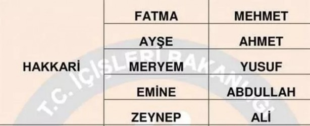 Foto - Türkiye'de en çok hangi isimler kullanılıyor? İl il en popüler kadın erkek isimleri