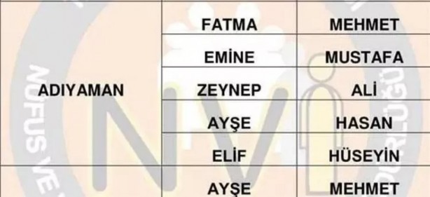 Foto - Türkiye'de en çok hangi isimler kullanılıyor? İl il en popüler kadın erkek isimleri