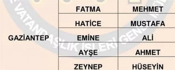 Foto - Türkiye'de en çok hangi isimler kullanılıyor? İl il en popüler kadın erkek isimleri