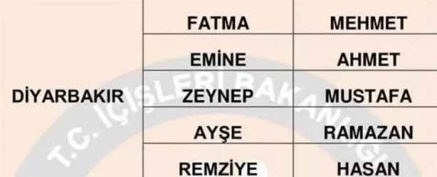 Foto - Türkiye'de en çok hangi isimler kullanılıyor? İl il en popüler kadın erkek isimleri