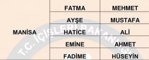 Foto - Türkiye'de en çok hangi isimler kullanılıyor? İl il en popüler kadın erkek isimleri