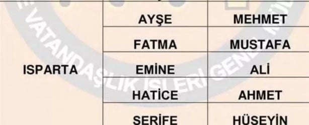 Foto - Türkiye'de en çok hangi isimler kullanılıyor? İl il en popüler kadın erkek isimleri