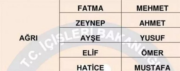 Foto - Türkiye'de en çok hangi isimler kullanılıyor? İl il en popüler kadın erkek isimleri