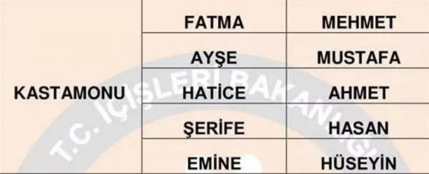 Foto - Türkiye'de en çok hangi isimler kullanılıyor? İl il en popüler kadın erkek isimleri