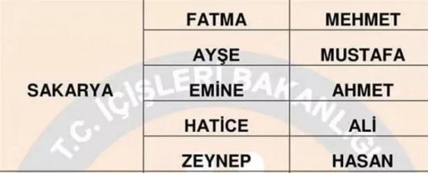 Foto - Türkiye'de en çok hangi isimler kullanılıyor? İl il en popüler kadın erkek isimleri