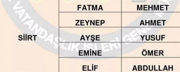 Foto - Türkiye'de en çok hangi isimler kullanılıyor? İl il en popüler kadın erkek isimleri