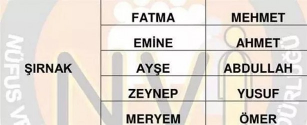 Foto - Türkiye'de en çok hangi isimler kullanılıyor? İl il en popüler kadın erkek isimleri