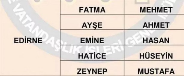 Foto - Türkiye'de en çok hangi isimler kullanılıyor? İl il en popüler kadın erkek isimleri