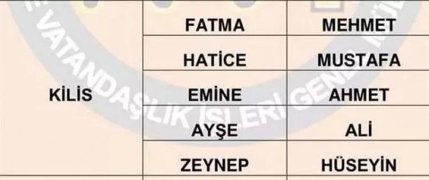 Foto - Türkiye'de en çok hangi isimler kullanılıyor? İl il en popüler kadın erkek isimleri