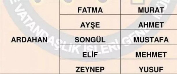 Foto - Türkiye'de en çok hangi isimler kullanılıyor? İl il en popüler kadın erkek isimleri