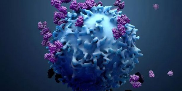 Foto - Türkiye'de en çok ölüme yol açan ikinci hastalık