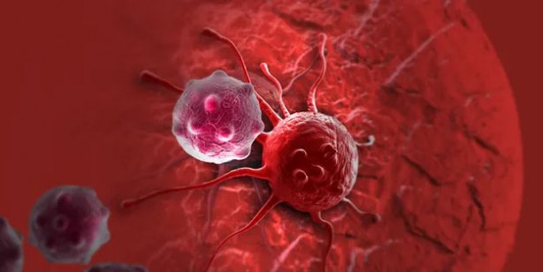 Foto - Türkiye'de en çok ölüme yol açan ikinci hastalık