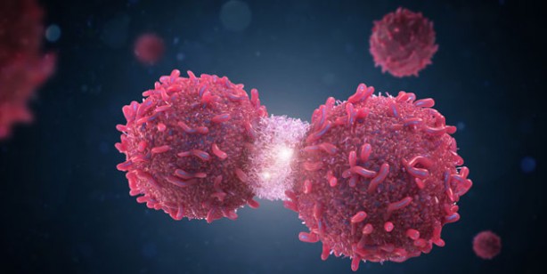 Foto - Türkiye'de en çok ölüme yol açan ikinci hastalık