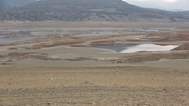 Foto - Türkiye’de giderek yayılıyor! Çanakkale'de endişelendiren görüntü