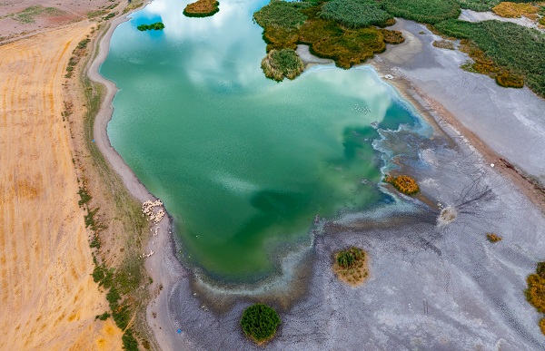 Foto - Türkiye’de gözlerini açan flamingoların göç hazırlığı