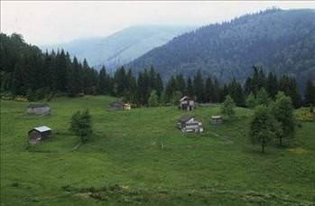 Foto - Türkiye'de hangi şehirde hangi takımın taraftarı daha fazla?