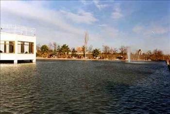 Foto - Türkiye'de hangi şehirde hangi takımın taraftarı daha fazla?