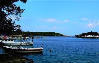 Foto - Türkiye'de hangi şehirde hangi takımın taraftarı daha fazla?