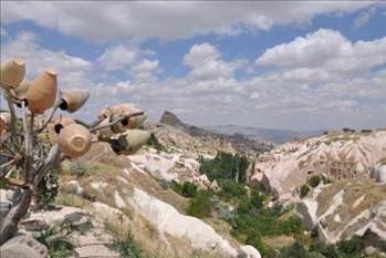 Foto - Türkiye'de hangi şehirde hangi takımın taraftarı daha fazla?