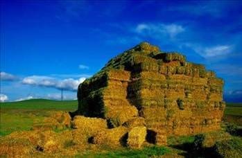 Foto - Türkiye'de hangi şehirde hangi takımın taraftarı daha fazla?