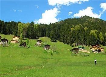 Foto - Türkiye'de hangi şehirde hangi takımın taraftarı daha fazla?