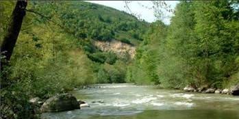 Foto - Türkiye'de hangi şehirde hangi takımın taraftarı daha fazla?