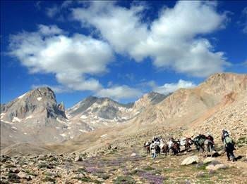 Foto - Türkiye'de hangi şehirde hangi takımın taraftarı daha fazla?