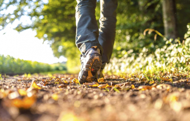 Foto - Türkiye’de her 4 kişiden birinde var Karaciğerdeki sinsi tehlikeye dikkat!