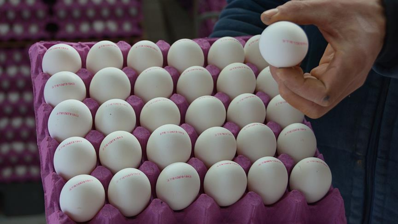 Foto - Türkiye’de her eve giren yumurtalarda yeni dönem: Artık bu şekilde satılacak