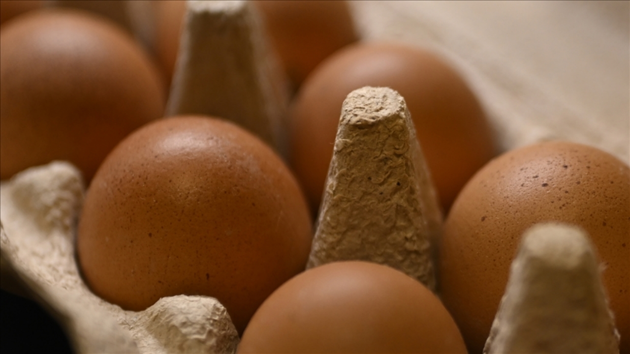 Foto - Türkiye’de her eve giren yumurtalarda yeni dönem: Artık bu şekilde satılacak