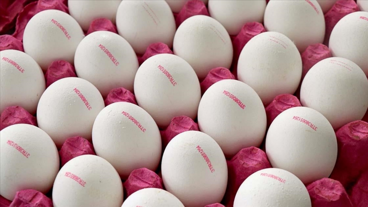 Foto - Türkiye’de her eve giren yumurtalarda yeni dönem: Artık bu şekilde satılacak