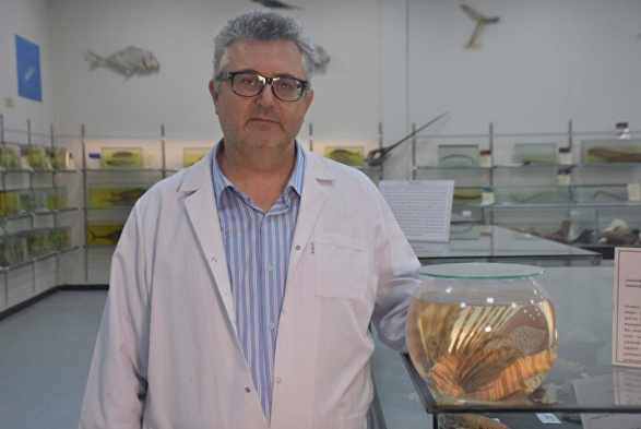 Foto - Türkiye'de her yeri istila ettiler: Sakın temas etmeyin