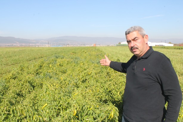 Foto - Türkiye'de ilk kez denendi! Bin işçinin yaptığı işi 10 saatte tek başına yaptı