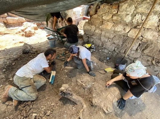 Foto - Türkiye’de ilk kez karşılaşıldı! Parçaları buldukça bütüne ulaşılacak