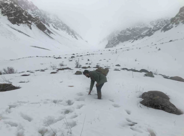 Foto - Türkiye'de kar yağışı sürprizi