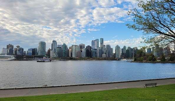 Foto - Türkiye'de kişi başına kaç araba düşüyor? İşte ülkelerdeki rakamlar...