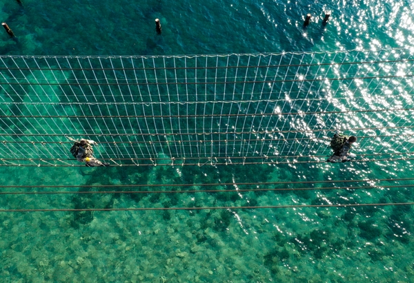 Foto - Türkiye'de "komando" olup ülkelerine döndüler