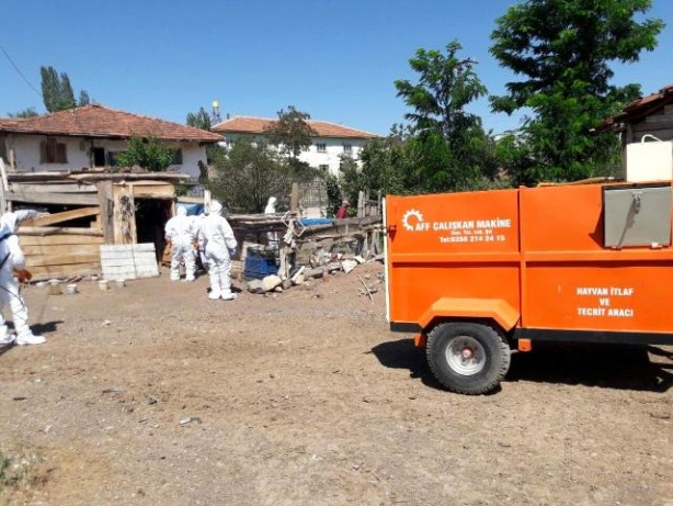 Foto - Türkiye’de korona ile mücadele devam ederken patlak verdi! Hayvanlar toplandı