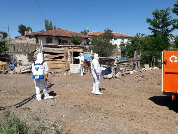Foto - Türkiye’de korona ile mücadele devam ederken patlak verdi! Hayvanlar toplandı