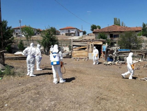 Foto - Türkiye’de korona ile mücadele devam ederken patlak verdi! Hayvanlar toplandı