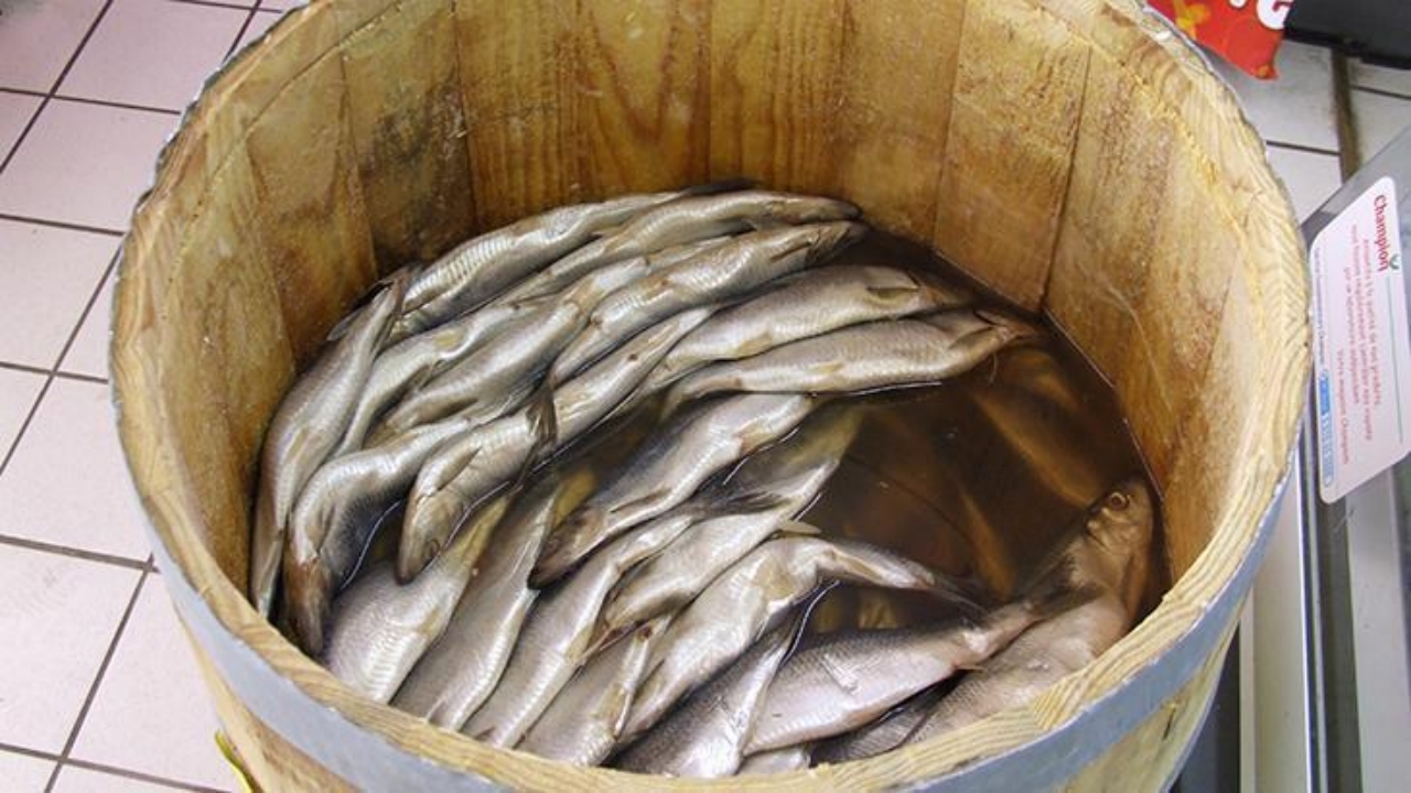 Foto - Türkiye’de milyonlarca kişi düzenli olarak tüketiyor: Sağlığa en zararlı balık türü belli oldu! Çok ama çok şaşıracaksınız